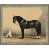 SA135-HORSE AND DOG Hand framed in an ornate dark silver frame. Finished Size: W 11.25 in x H 9.25 in