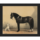 SA135-HORSE AND DOG Hand framed in a matte black frame. Finished Size: W 11.25 in x H 9.25 in