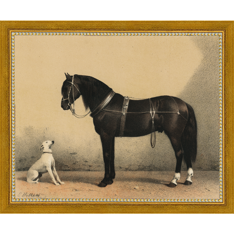 SA135-HORSE AND DOG Hand framed in a transitional gold frame. Finished Size: W 11.25 in x H 9.25 in
