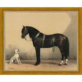 SA135-HORSE AND DOG Hand framed in a transitional gold frame. Finished Size: W 11.25 in x H 9.25 in