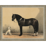 SA135-HORSE AND DOG Hand framed in an ornate dark silver frame. Finished Size: W 13.25 in x H 10.25 in