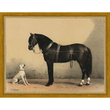 HORSE AND DOG - Kings Fine Art & Decor