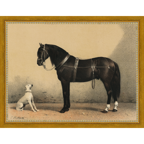 HORSE AND DOG - Kings Fine Art & Decor