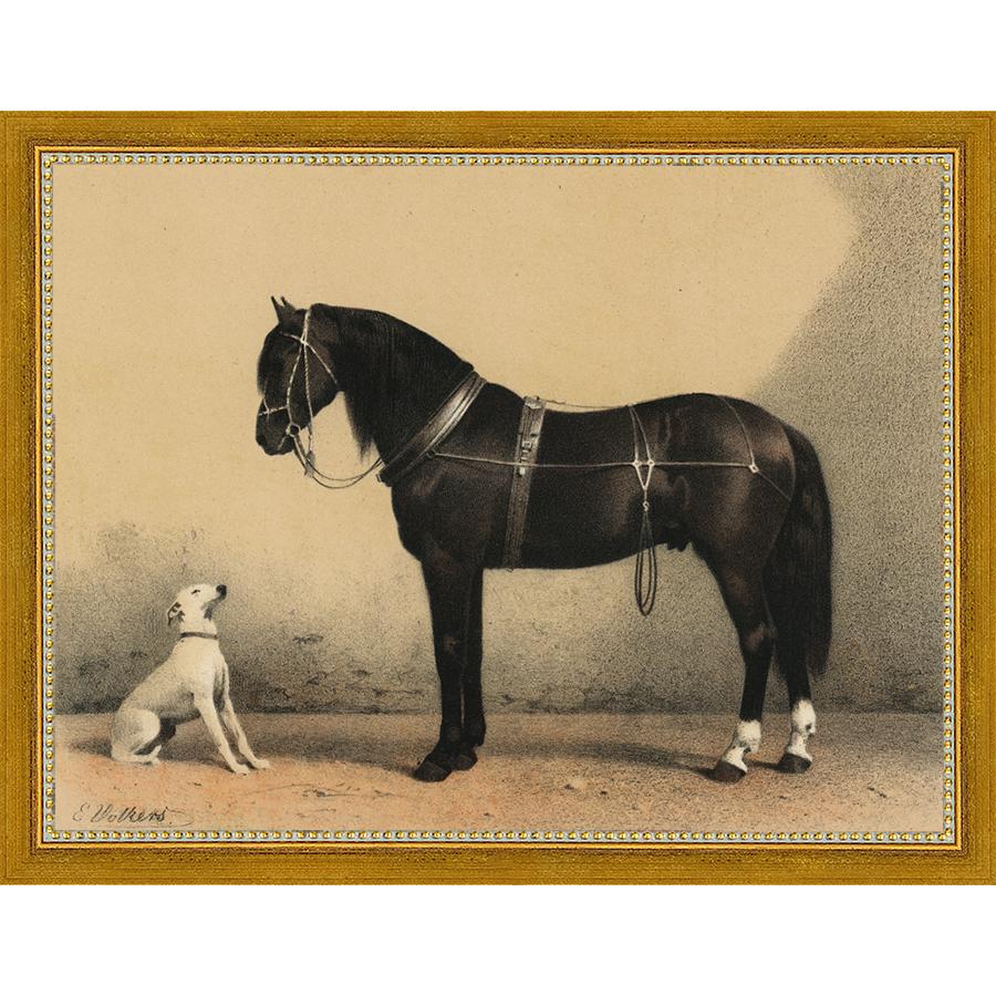 SA135-HORSE AND DOG Hand framed in a transitional gold frame. Finished Size: W 13.25 in x H 10.25 in