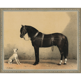 SA135-HORSE AND DOG Hand framed in an ornate dark silver frame. Finished Size: W 15.25 in x H 12.25 in