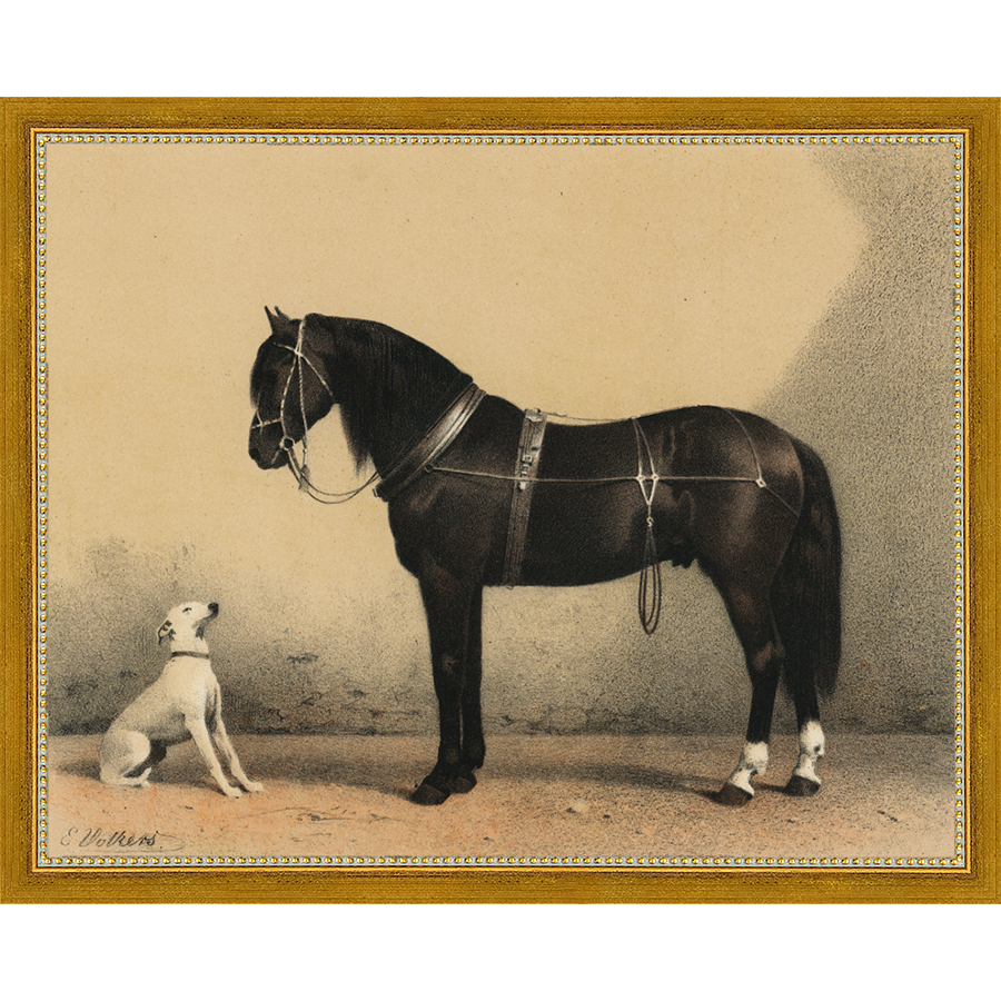 HORSE AND DOG - Kings Fine Art & Decor