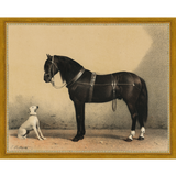 HORSE AND DOG - Kings Fine Art & Decor