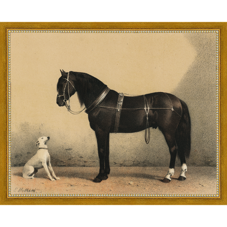 HORSE AND DOG - Kings Fine Art & Decor