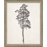VINTAGE PINE TREE - Kings Fine Art & Decor