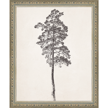 VINTAGE PINE TREE - Kings Fine Art & Decor