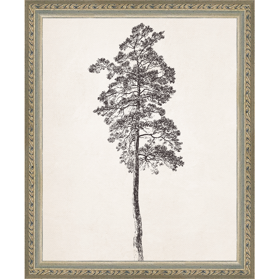 SA140-VINTAGE PINE TREE Hand framed in an ornate dark silver frame. Finished Size: W 9.25 in x H 11.25 in