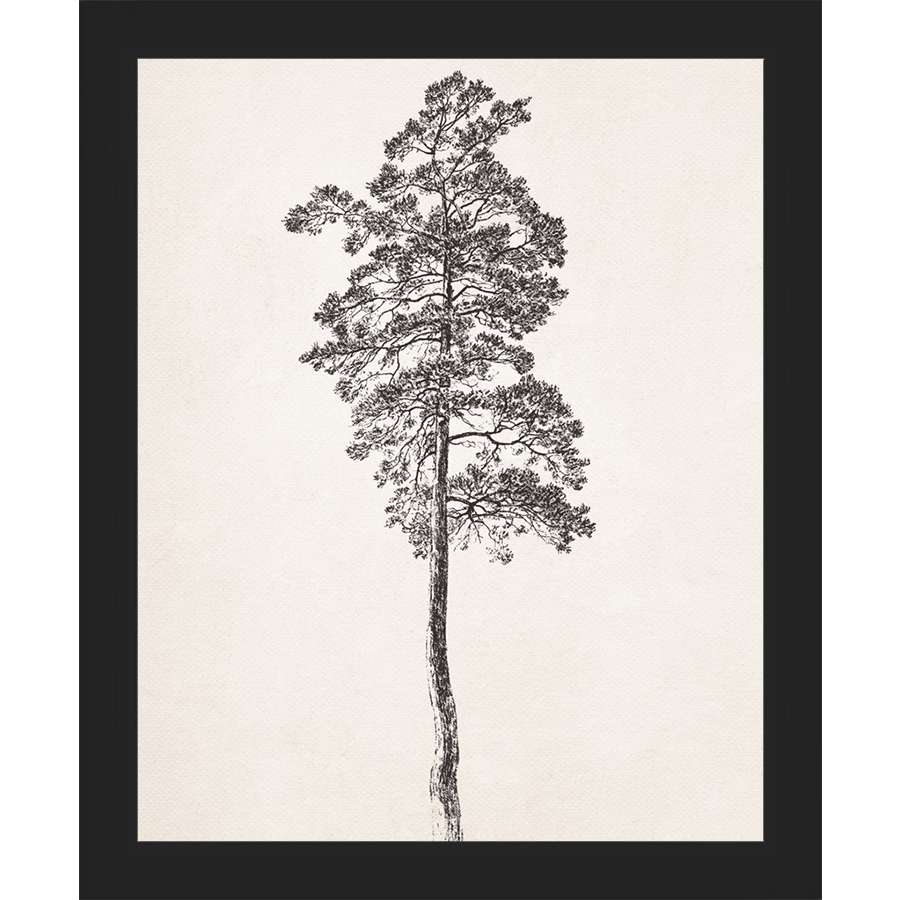 SA140-VINTAGE PINE TREE Hand framed in a matte black frame. Finished Size: W 9.25 in x H 11.25 in