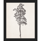 SA140-VINTAGE PINE TREE Hand framed in a matte black frame. Finished Size: W 9.25 in x H 11.25 in