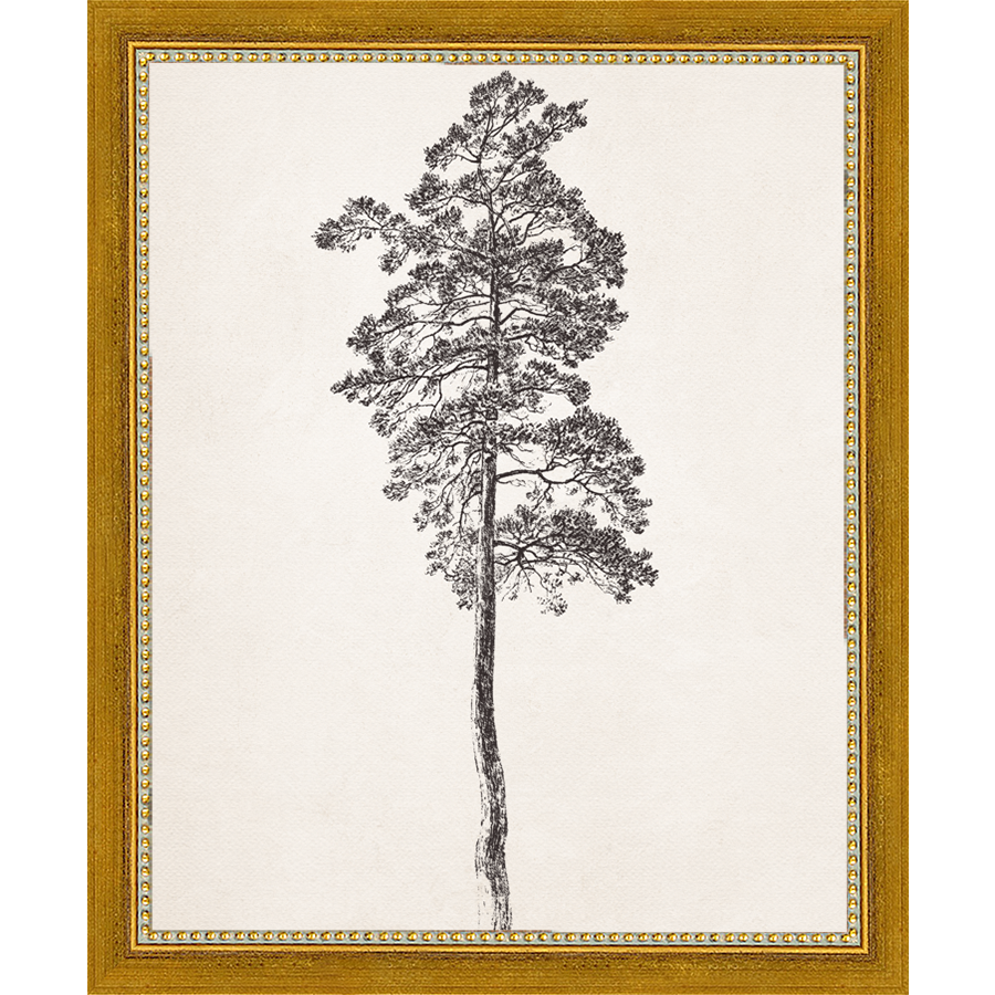 SA140-VINTAGE PINE TREE Hand framed in a transitional gold frame. Finished Size: W 9.25 in x H 11.25 in