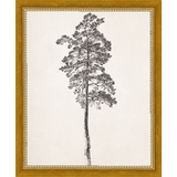 SA140-VINTAGE PINE TREE Hand framed in a transitional gold frame. Finished Size: W 9.25 in x H 11.25 in