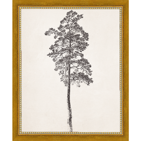 SA140-VINTAGE PINE TREE Hand framed in a transitional gold frame. Finished Size: W 9.25 in x H 11.25 in