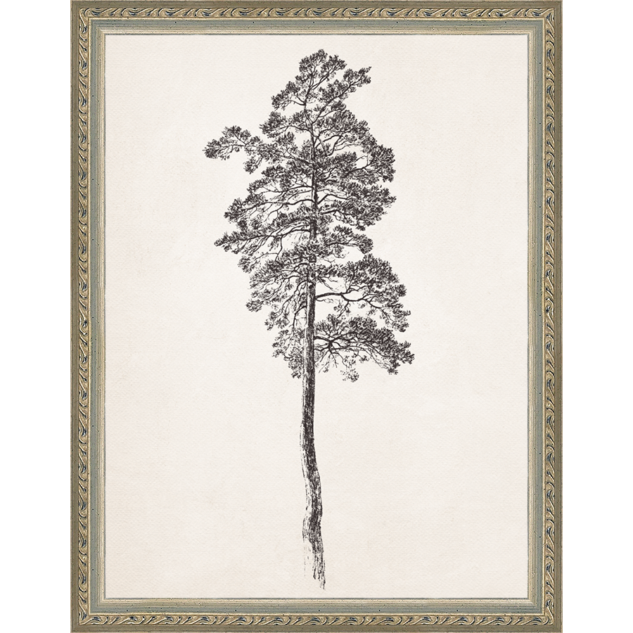 SA140-VINTAGE PINE TREE Hand framed in an ornate dark silver frame. Finished Size: W 10.25 in x H 13.25 in