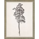 VINTAGE PINE TREE - Kings Fine Art & Decor