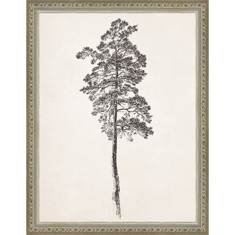 VINTAGE PINE TREE - Kings Fine Art & Decor