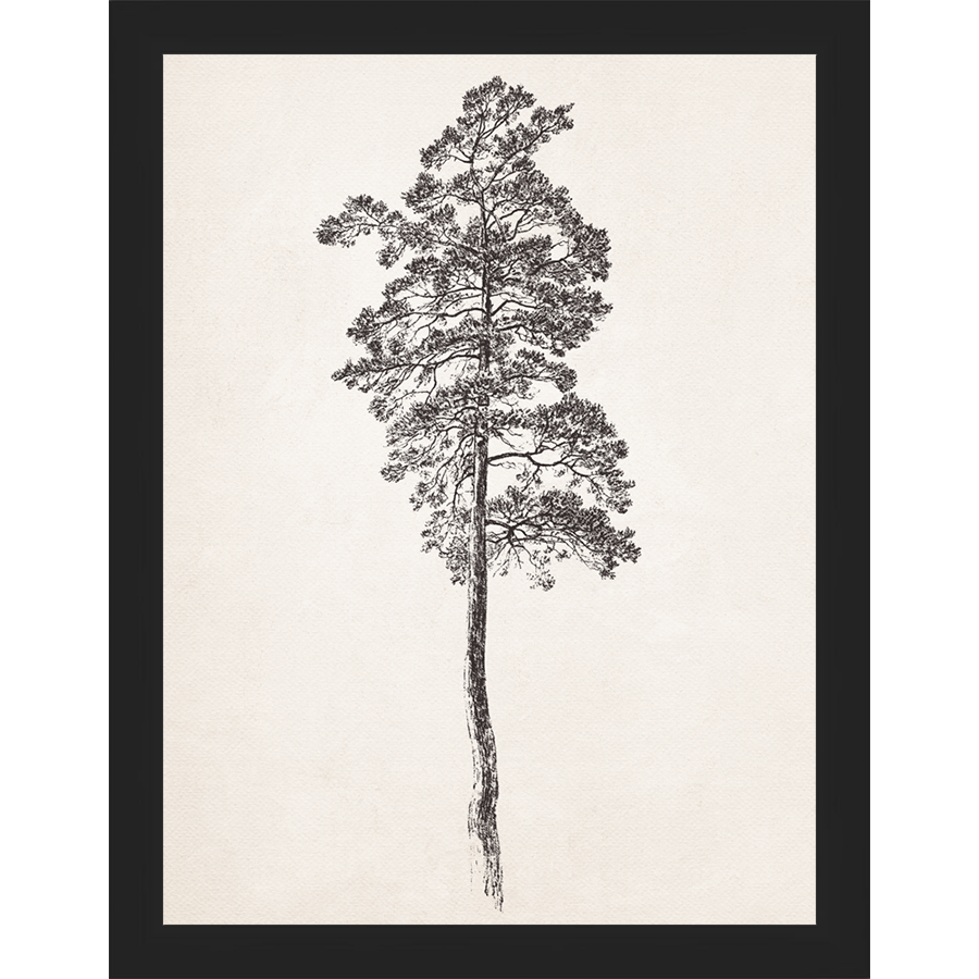 VINTAGE PINE TREE - Kings Fine Art & Decor