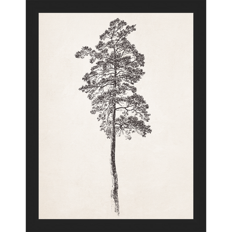 VINTAGE PINE TREE - Kings Fine Art & Decor