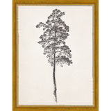 VINTAGE PINE TREE - Kings Fine Art & Decor
