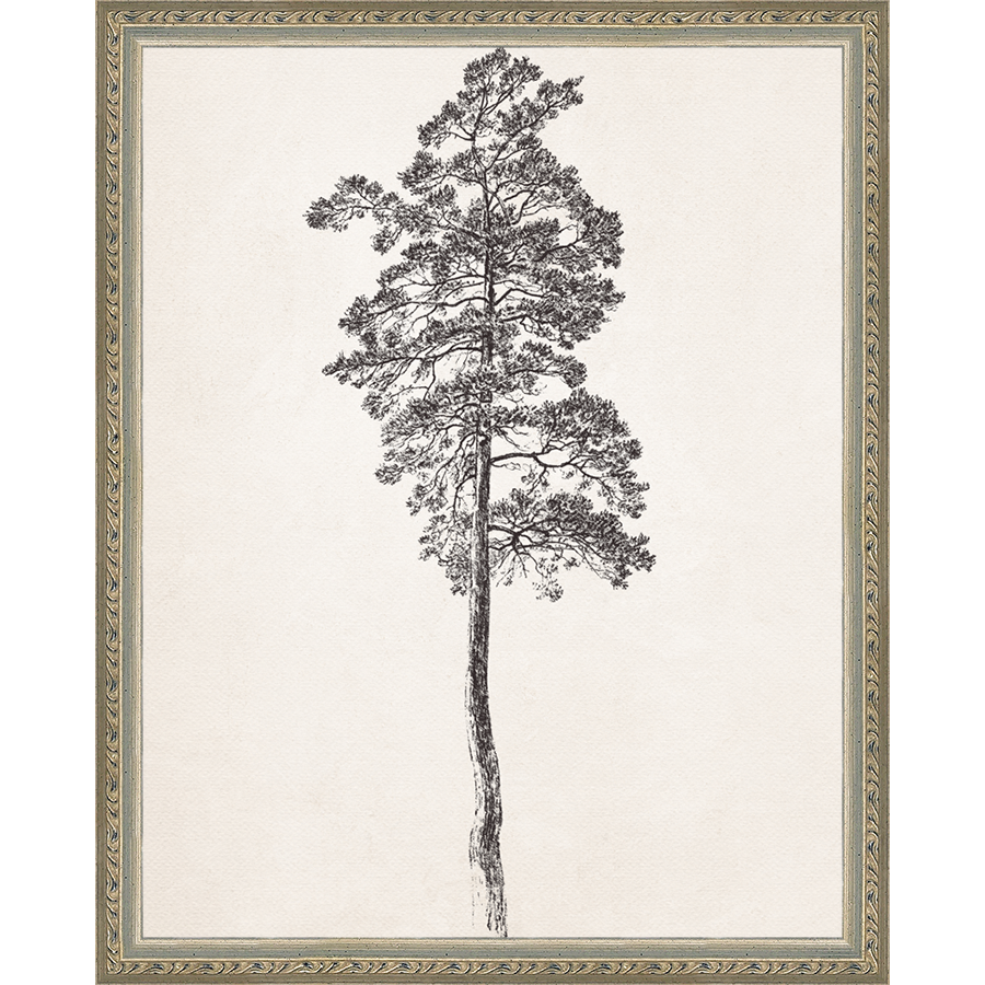 VINTAGE PINE TREE - Kings Fine Art & Decor
