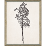 VINTAGE PINE TREE - Kings Fine Art & Decor