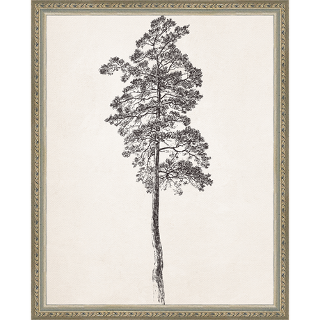 VINTAGE PINE TREE - Kings Fine Art & Decor