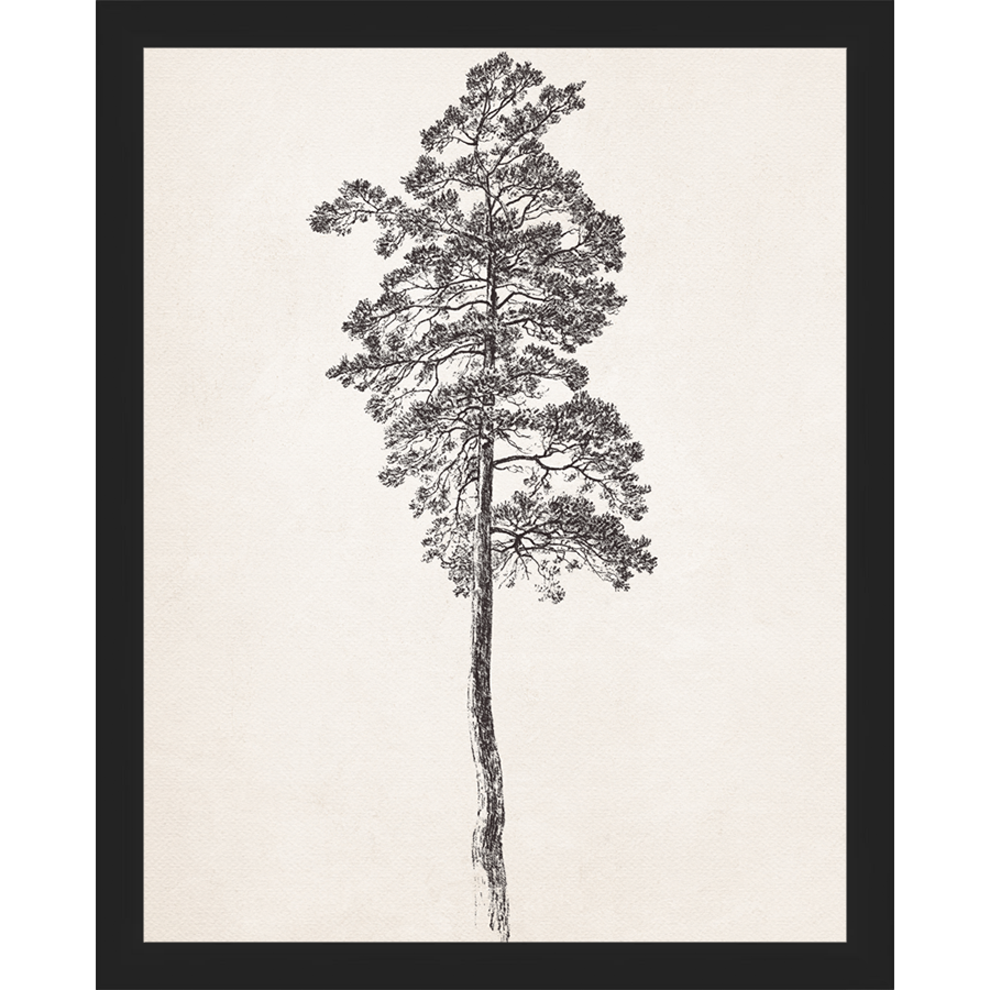 VINTAGE PINE TREE - Kings Fine Art & Decor