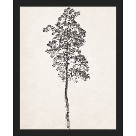 VINTAGE PINE TREE - Kings Fine Art & Decor