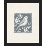 SA322-SONGBIRD I Hand framed in a matte black frame. Finished Size: W 9.25 in x H 11.25 in
