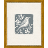 SA322-SONGBIRD I Hand framed in a transitional gold frame. Finished Size: W 9.25 in x H 11.25 in