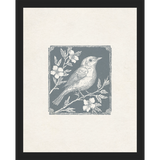 SA322-SONGBIRD I Hand framed in a matte black frame. Finished Size: W 12.25 in x H 15.25 in