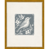 SA322-SONGBIRD I Hand framed in a transitional gold frame. Finished Size: W 12.25 in x H 15.25 in