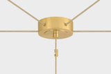 ironwood-chandelier-3905-AGB-1