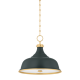 painted-no.1-pendant-MDS300-AGB/SSG