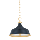 painted-no.-1-pendant-MDS300-AGB/DBL