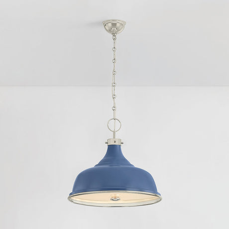 painted-no.1-pendant-MDS300-PN/FBL-1