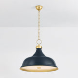 painted-no.-1-pendant-MDS300L-AGB/DBL-1