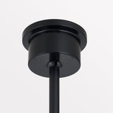 mikka-chandelier-F5642-PBR/SBK-4