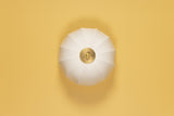meshelle-flush-mount-H816601-AGB-5