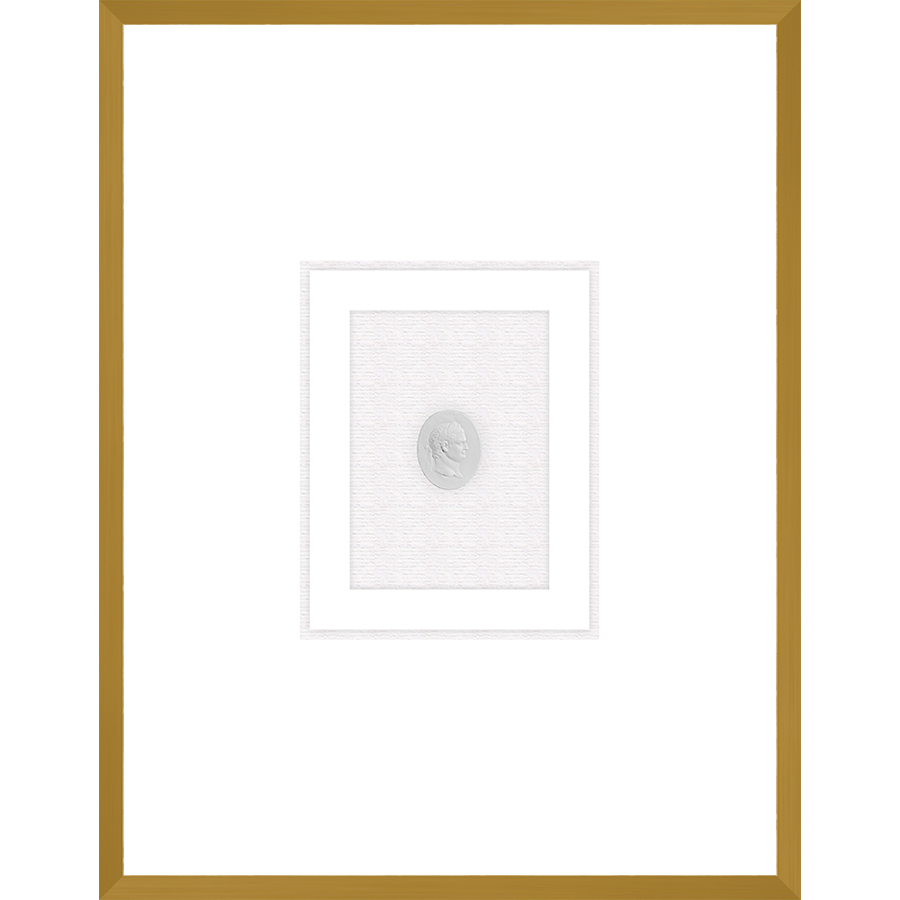 NG006-EMPEROR Shadow Box framed in an antiqued gold frame on a white raglin mat. Finished Size: W 18.00 in x H 23.00 in