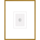 NG006-EMPEROR Shadow Box framed in an antiqued gold frame on a white raglin mat. Finished Size: W 18.00 in x H 23.00 in
