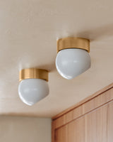odin-flush-mount-C1406-PBR/SWH-1