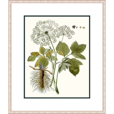 FLUFFY BLOOMS - Kings Fine Art & Decor