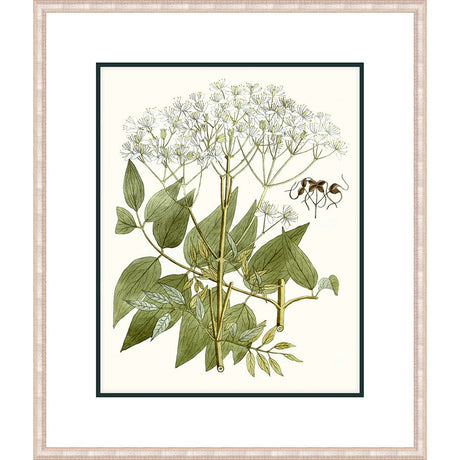 WILDFLOWER BLOOM - Kings Fine Art & Decor