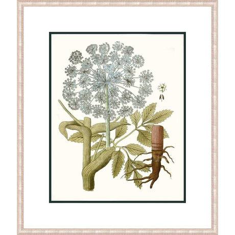 FLORAL STARBURST - Kings Fine Art & Decor