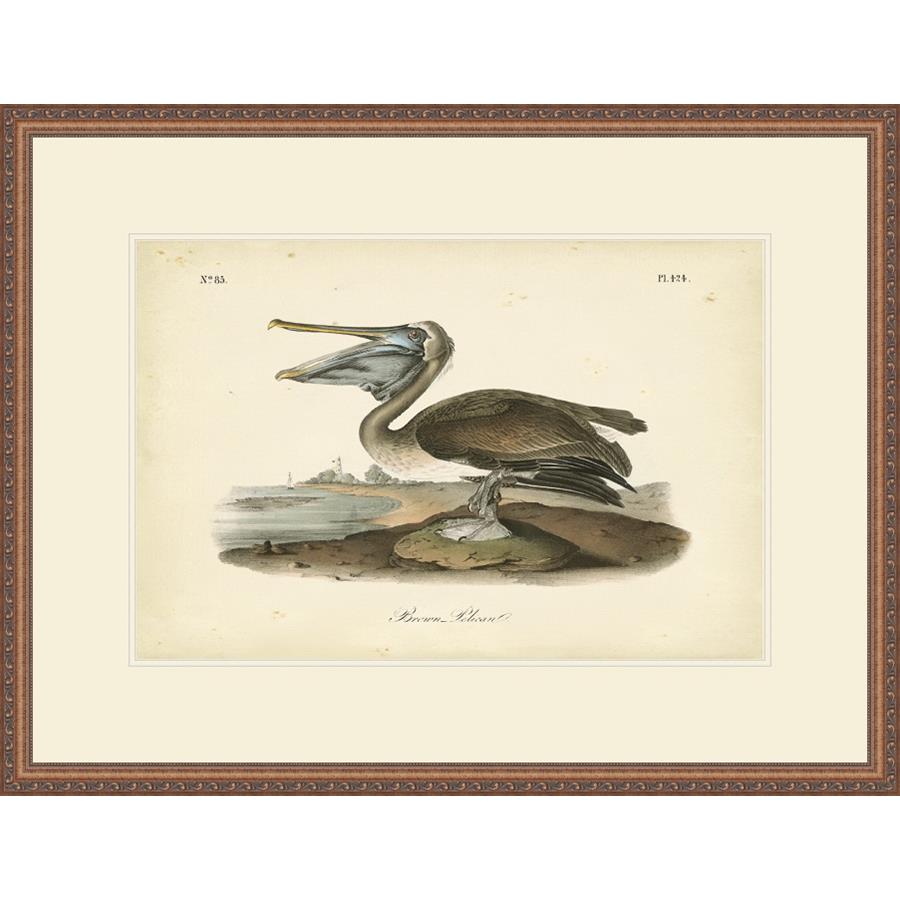 AUDUBON BROWN PELICAN - Kings Fine Art & Decor