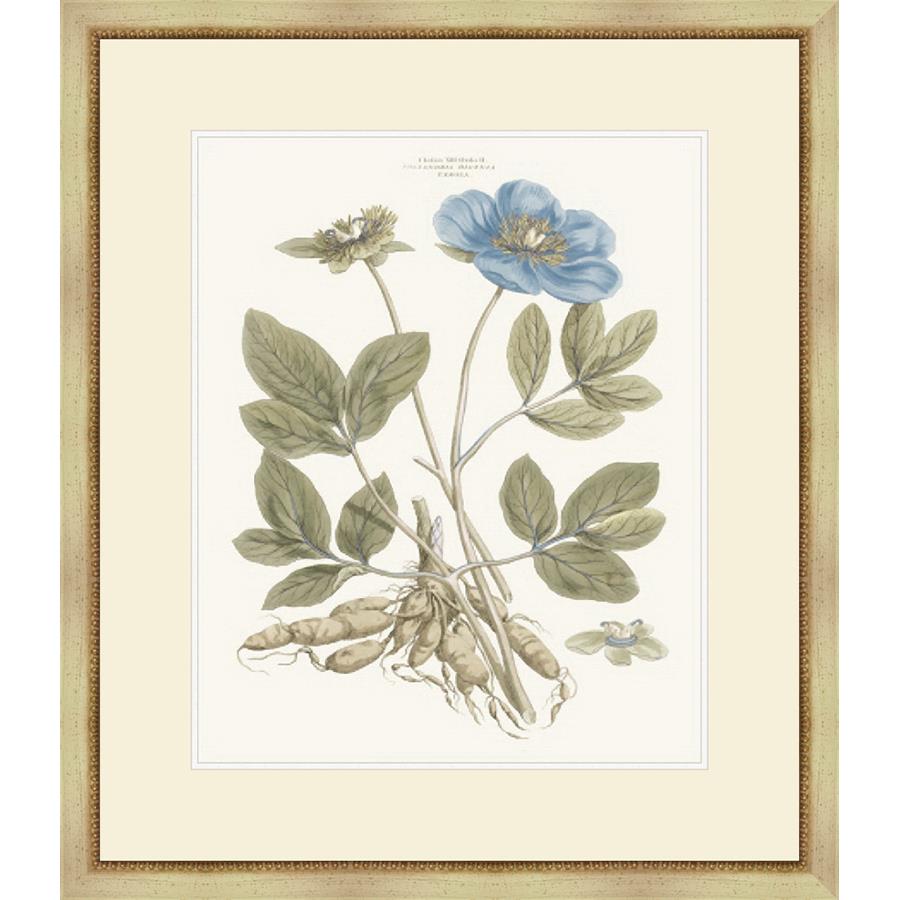 BASHFUL BLUE FLORALS I - Kings Fine Art & Decor